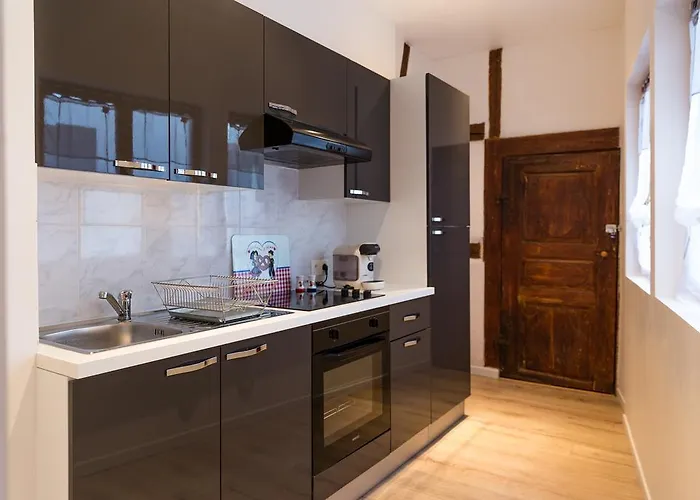 Apartamento Chez Daniel Kaysersberg-Vignoble